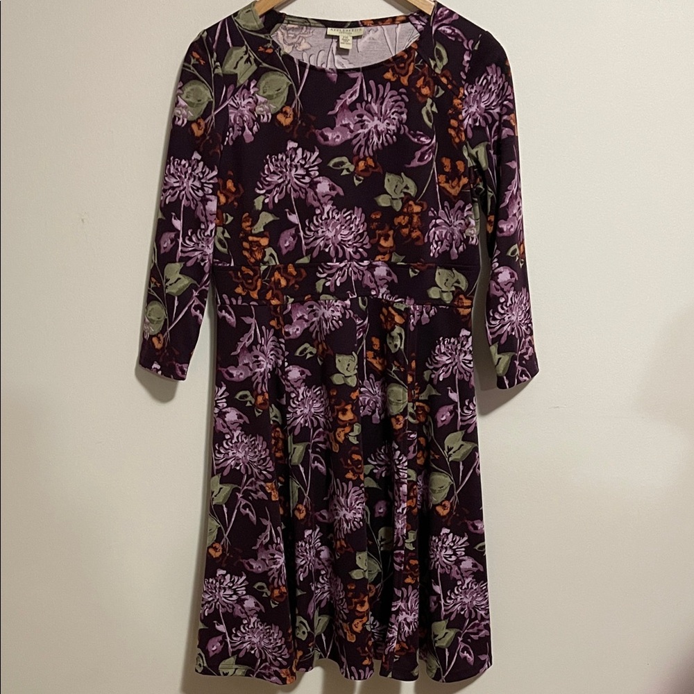 Appleseeds  Floral Plum and Green Dress. SZ PM